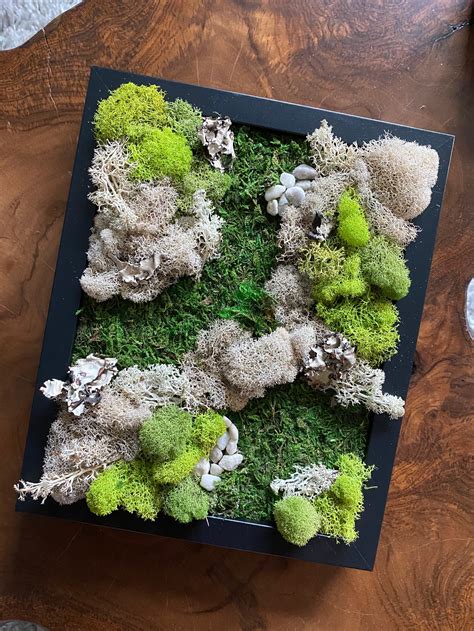 etsy moss art